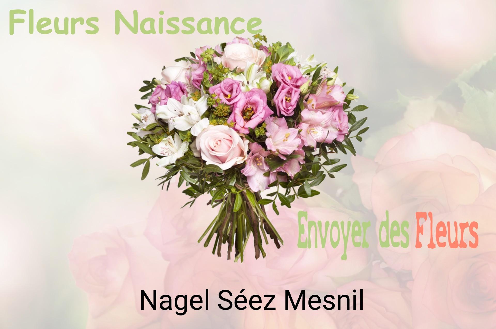 Bouquet de fleurs de naissance livré à Nagel-Séez-Mesnil
